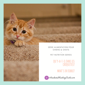 Protection Pour Chien Et Chat Taille Xl Animaux De Plus 20kg