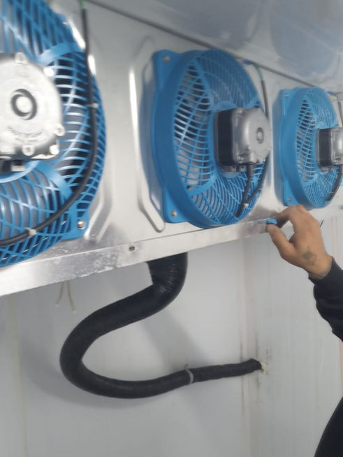 WhatsApp Image 2023-01-29 at 20.02.45.jpeg