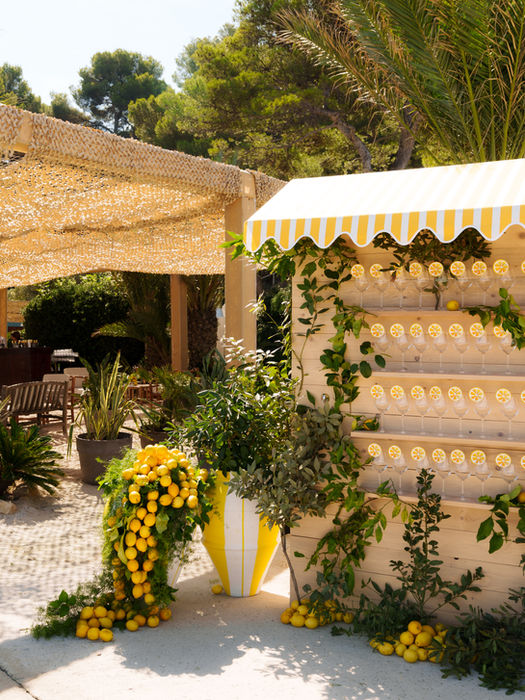 Outdoor patio with lemons, green plants, and a yellow striped awning