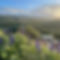 8B1694A4-F4F5-4F03-A458-0B0DE7283A5E.jpg