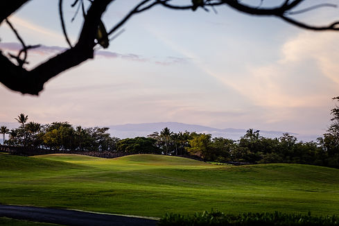 Hawaii Loa Coverage-8.jpg