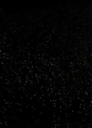 Christmas Party Invite (1).png