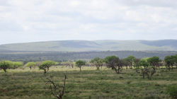 Paysage Mkuze