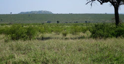 vers Satara
