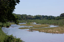 Skukuza - Sabie River