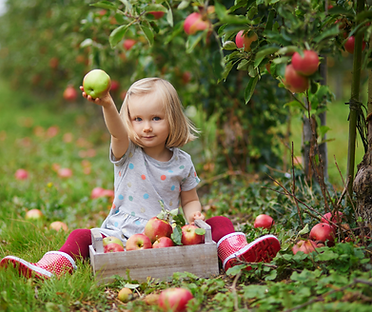 orchards in the community dcs for bees