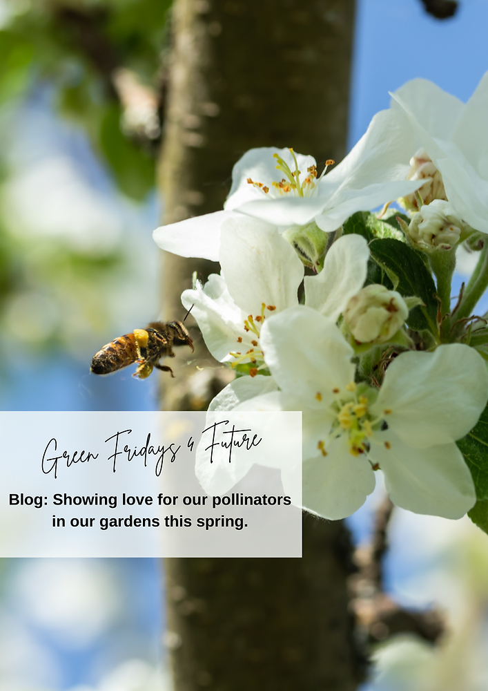 Showing love for our pollinators in our gardens this spring.
