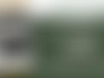 Movie Night? Watch the Great Green Wall Movie on the Green Fridays 4 Future Website for free, now! 