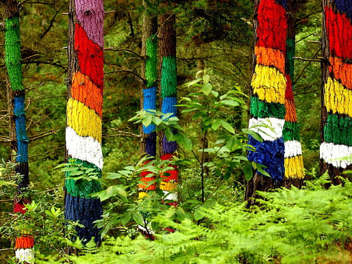EL BOSQUE DE OMA SE TRASLADA Y ABRIRÁ EN 2022