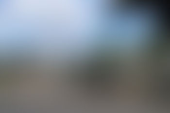 Family Reading Night Is Taking Place Tonight