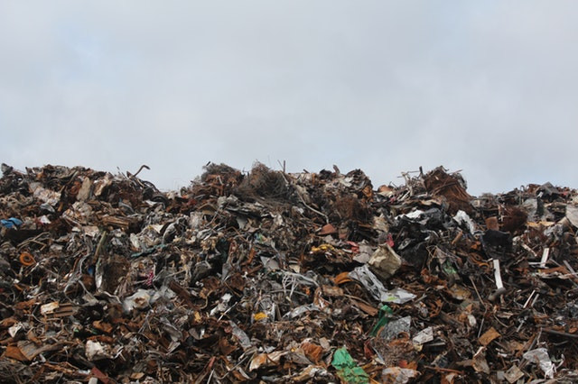 Ethical Waste Removal