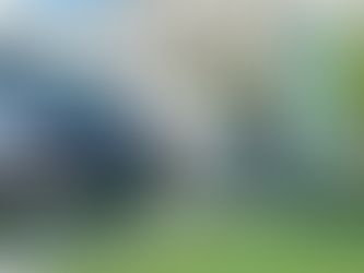 El impacto de los coches eléctricos en el medio ambiente: Una elección sostenible y económica