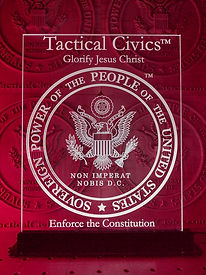 Tactical civicsâ„¢ Seal 12 x 16.jpg