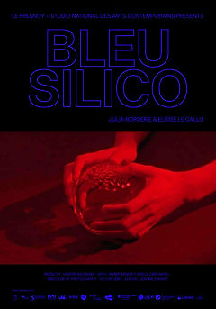 Bleu Silico.jpg