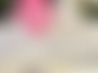懷念媽媽的拿手菜