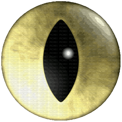 cateye.gif