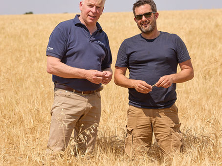 HEINEKEN UK launches one of the UK's largest regenerative agriculture malting barley programmes