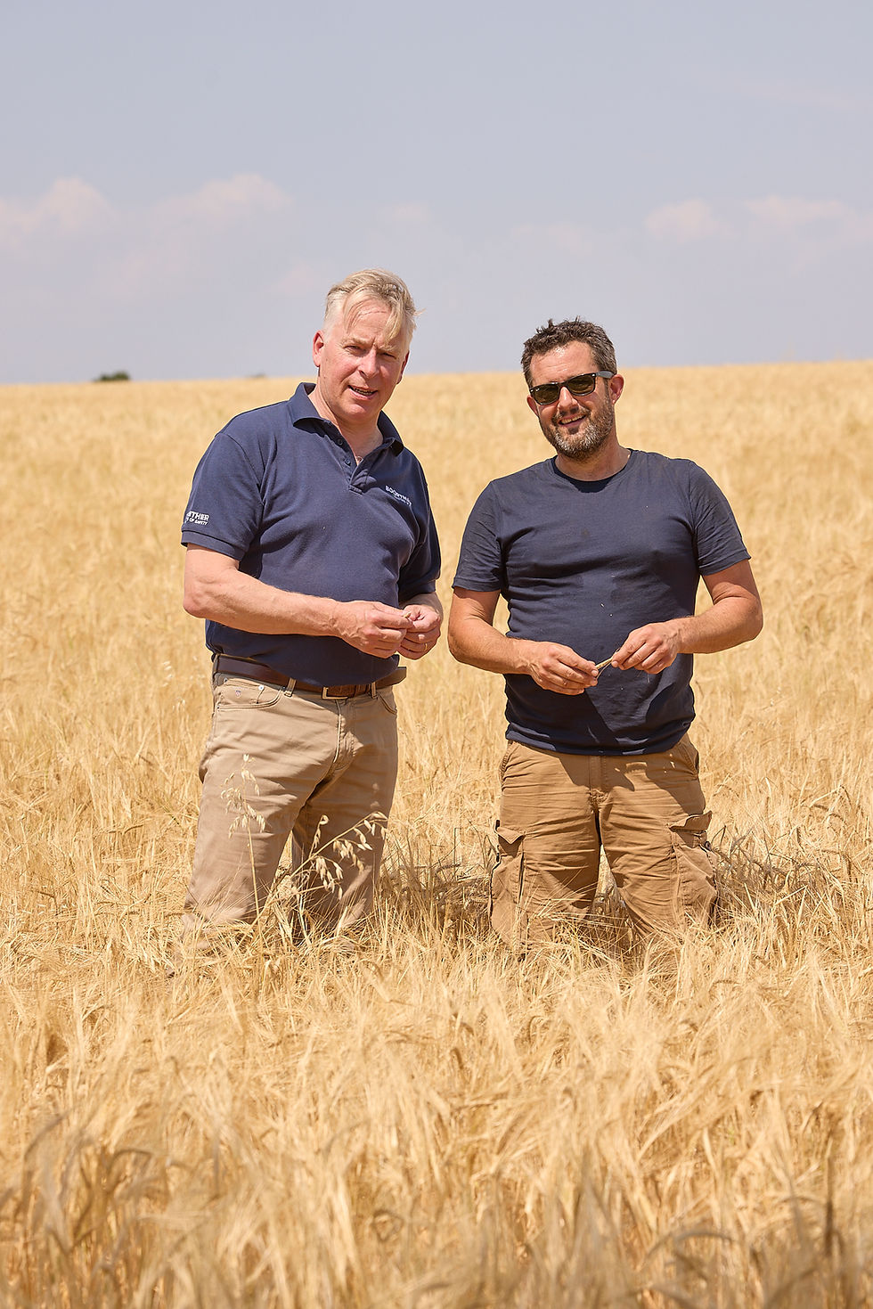 HEINEKEN UK launches one of the UK's largest regenerative agriculture malting barley programmes