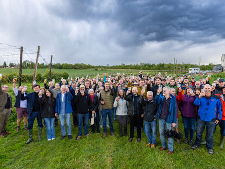 Hogs Back Brewery's Hop Blessing defies the weather