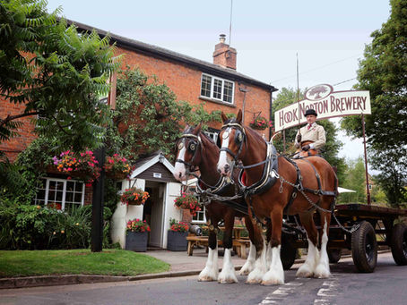 Hook Norton Brewery Brings Back Traditional Shire Horse Deliveries