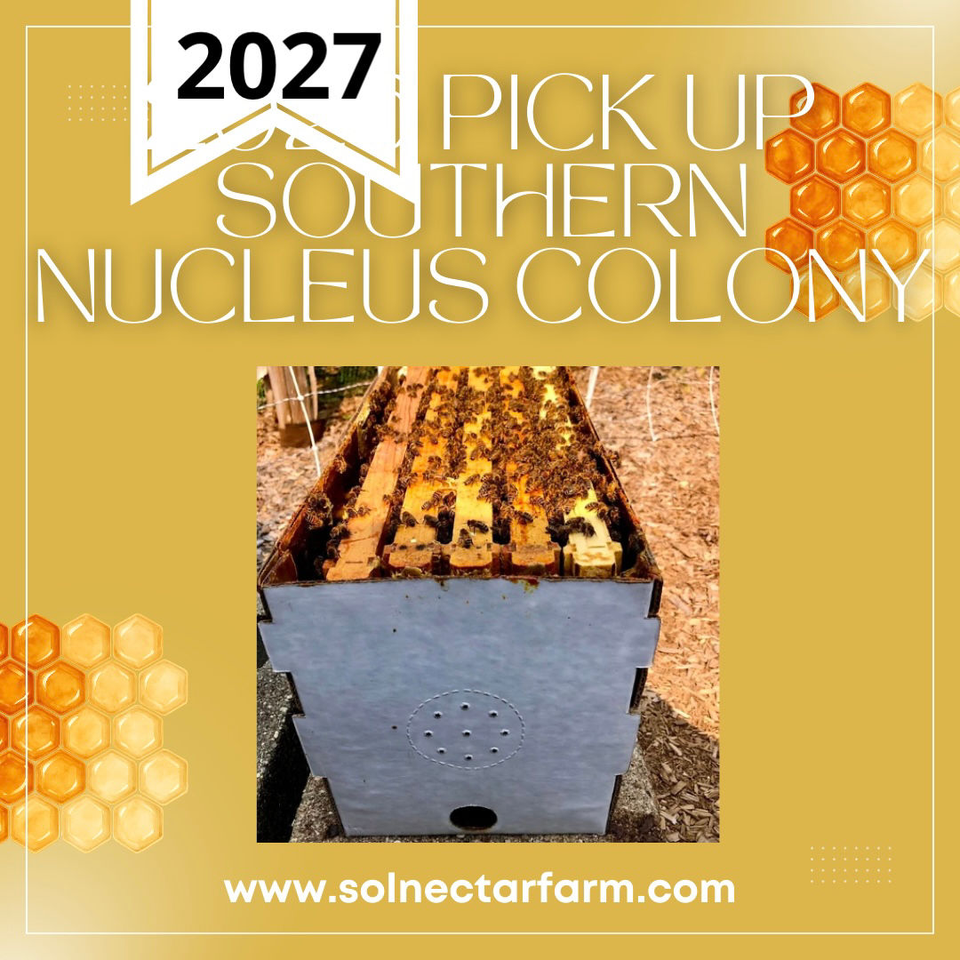 5 Frame Southern Nucleus Colony-PICK UP ONLY