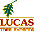 Lucas Tree Logo.gif