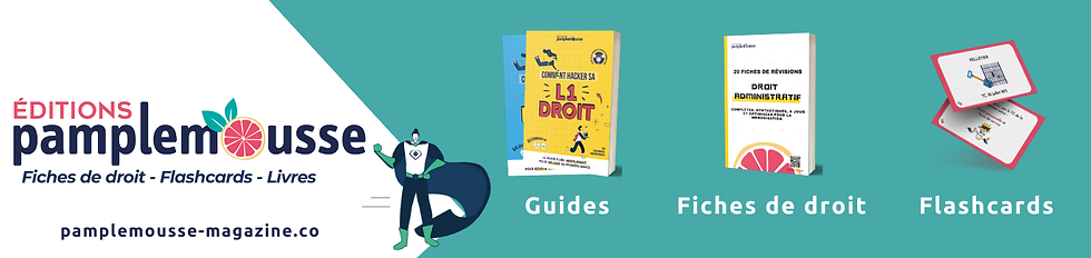 fiche revision droit flashcards