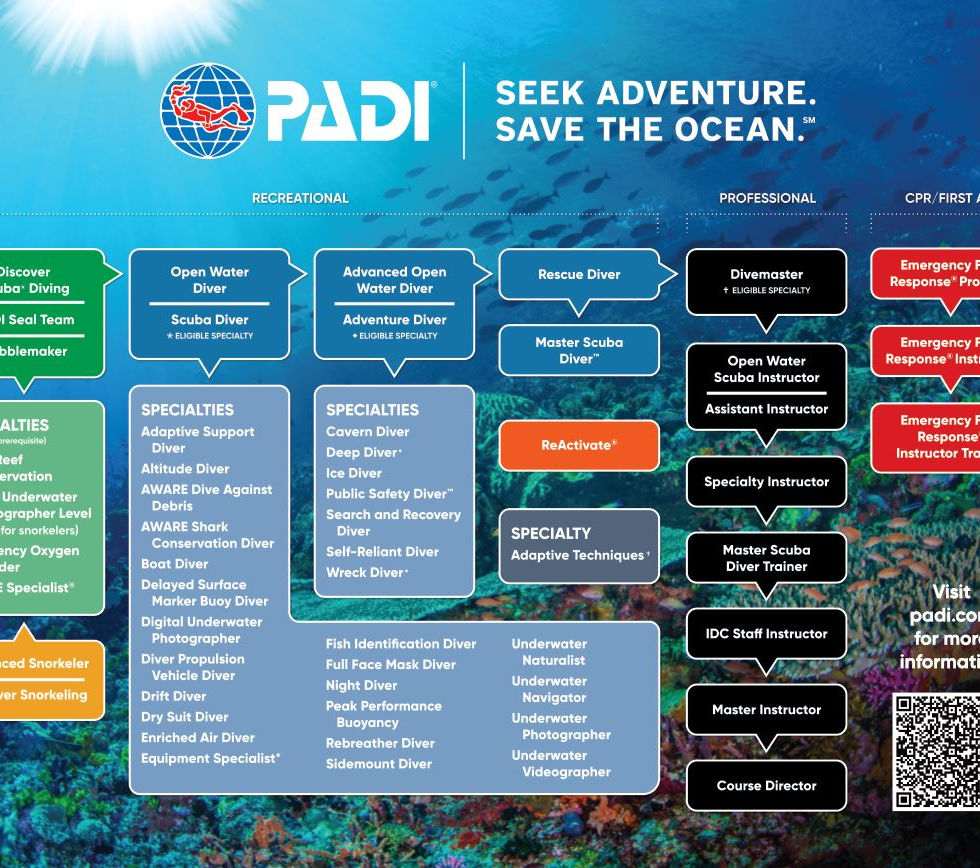 padi-course-chart-2021.jpg