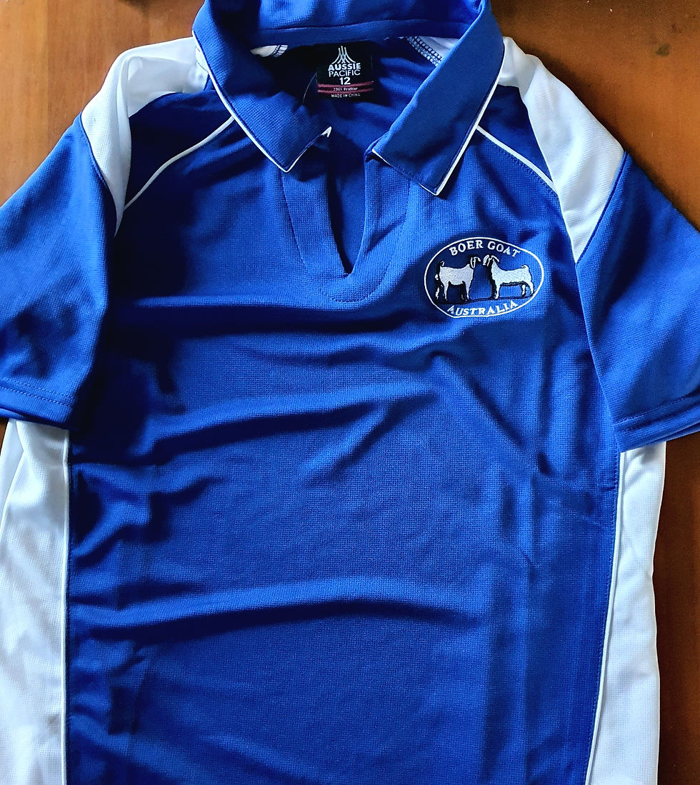 Thumbnail: New BGA Polo - Ladies