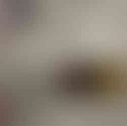 Insatiable bath chip repair