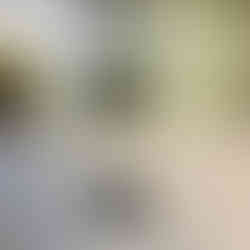 Professional shower tray crack repair around the drain, restoring watertight seal and preventing leaks