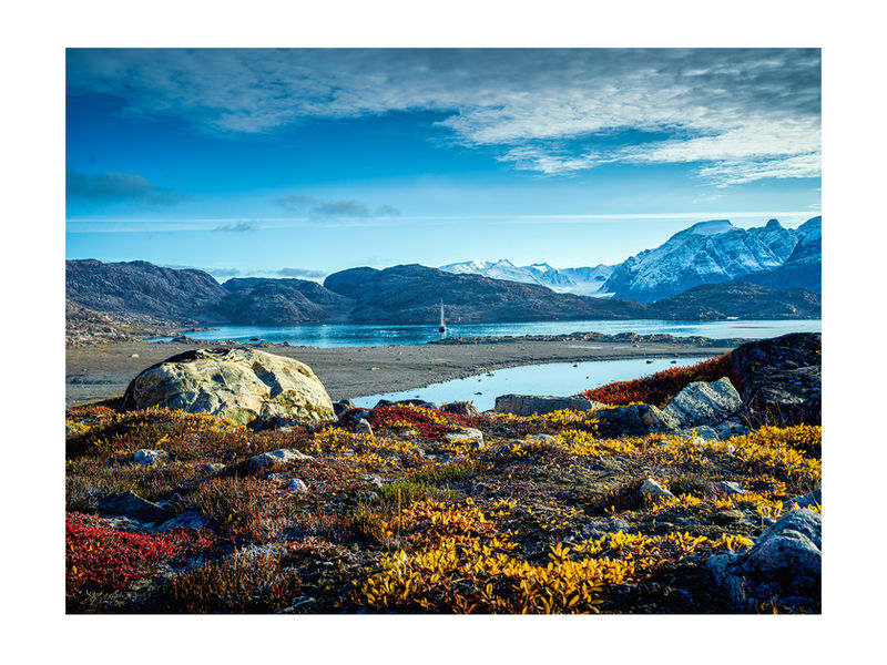 Digital:  Hasselblad X1D + Hasselblad XCD45