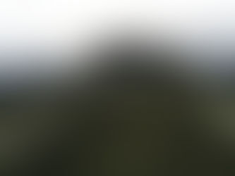 Reserva de la Biosfera "Campos de Hielo Norte"