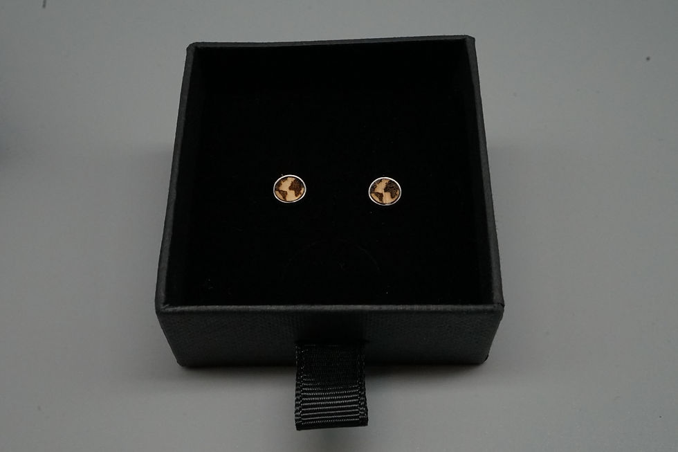 Miniaturbild: Ohrstecker "Welt"