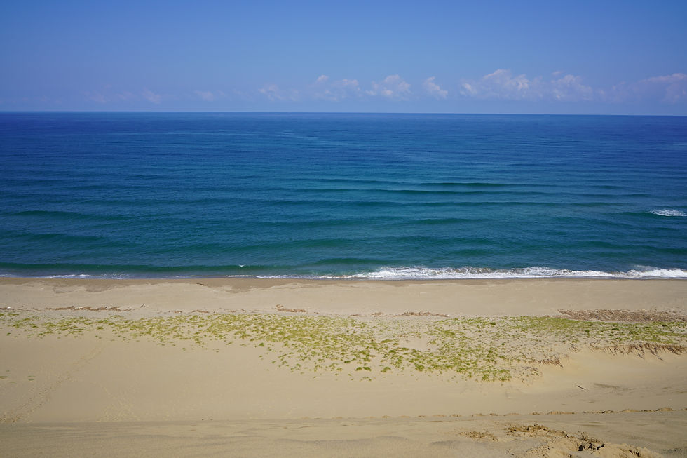 View from the dunes, a short ride away from Iwado Base