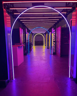 Lavender Arch- Lavender LED Neon