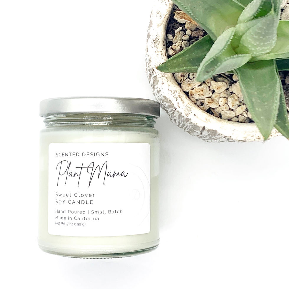 Thumbnail: Candle Gift Box - Plant Mama + Matches and Faux Succulent