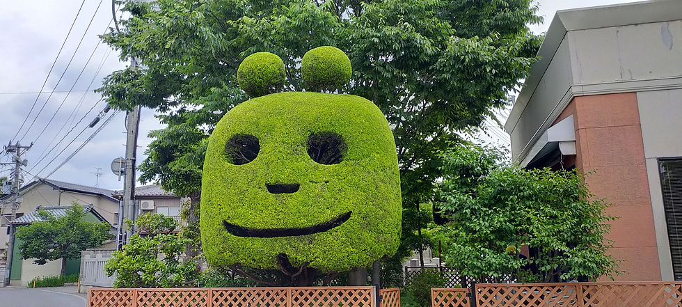 長潟 大阪屋 完成