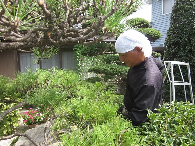 新潟県 新潟の庭師 坪井造園