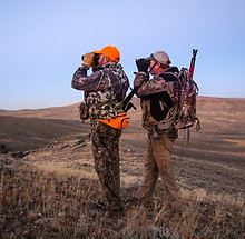 Two hunters in camouflage clothing scanning the horizon with binoculars in an open field.