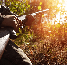 A hunter aiming a rifle while kneeling in tall grass under the warm glow of sunlight.