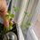 Thumbnail: 3D Puzzle-Real 4-Leaf Clovers & 1968 Irish Penny - Purple/Teal/Blue/Gold