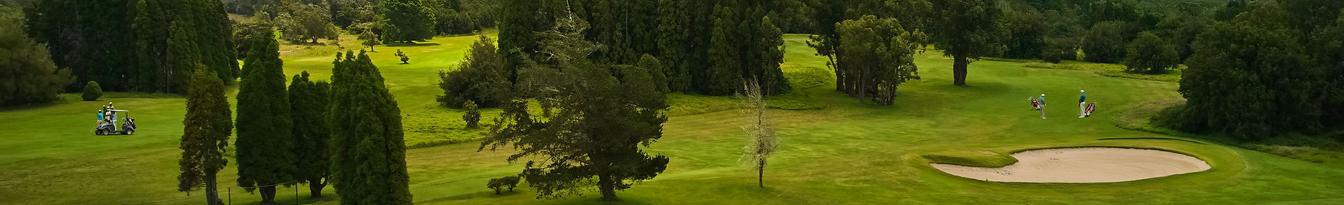 Volcano Golf Course EVH Mainpage Ad.jpg