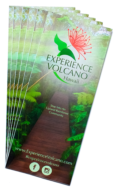 PNG Brochure #2.png