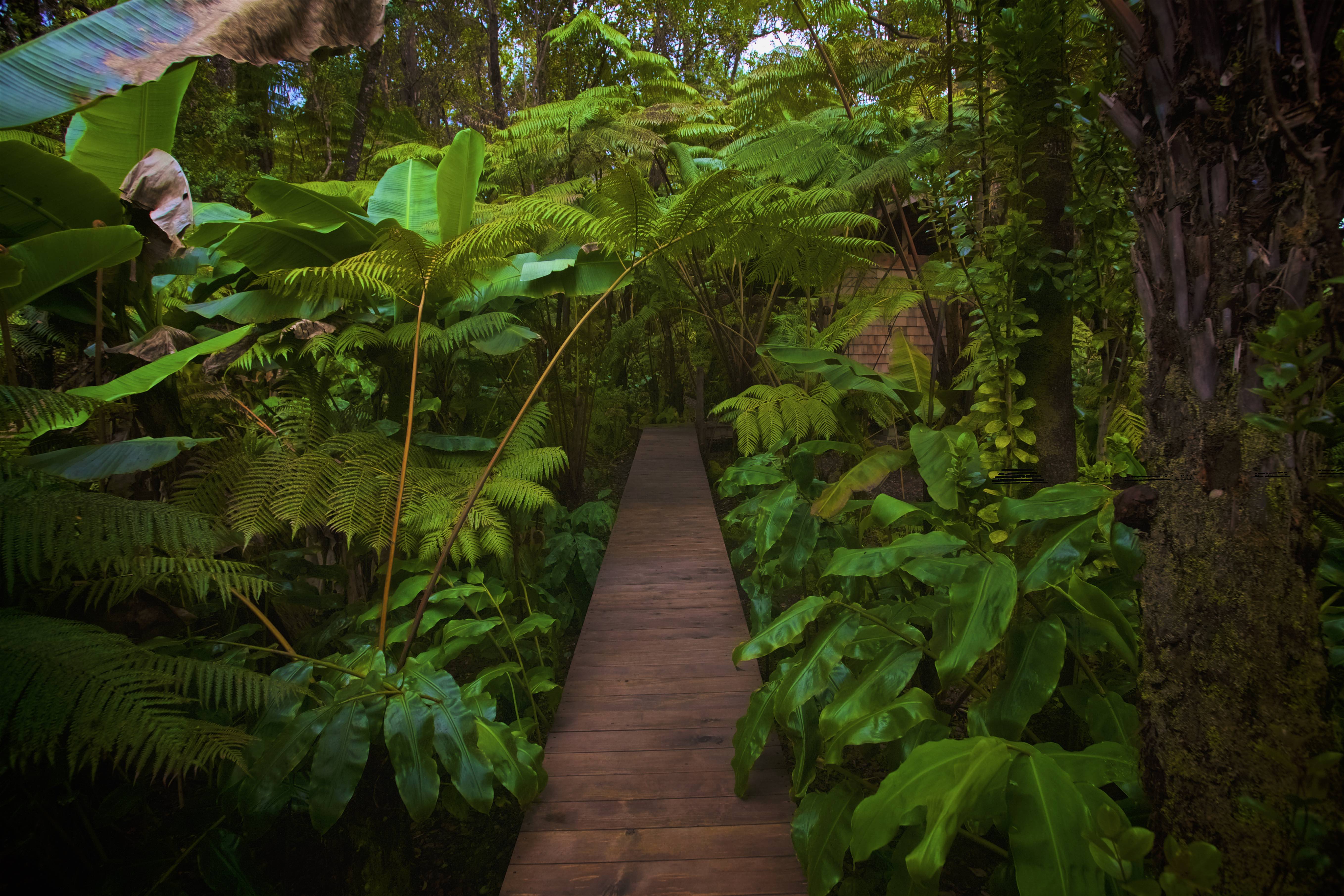 Experience Volcano Stay