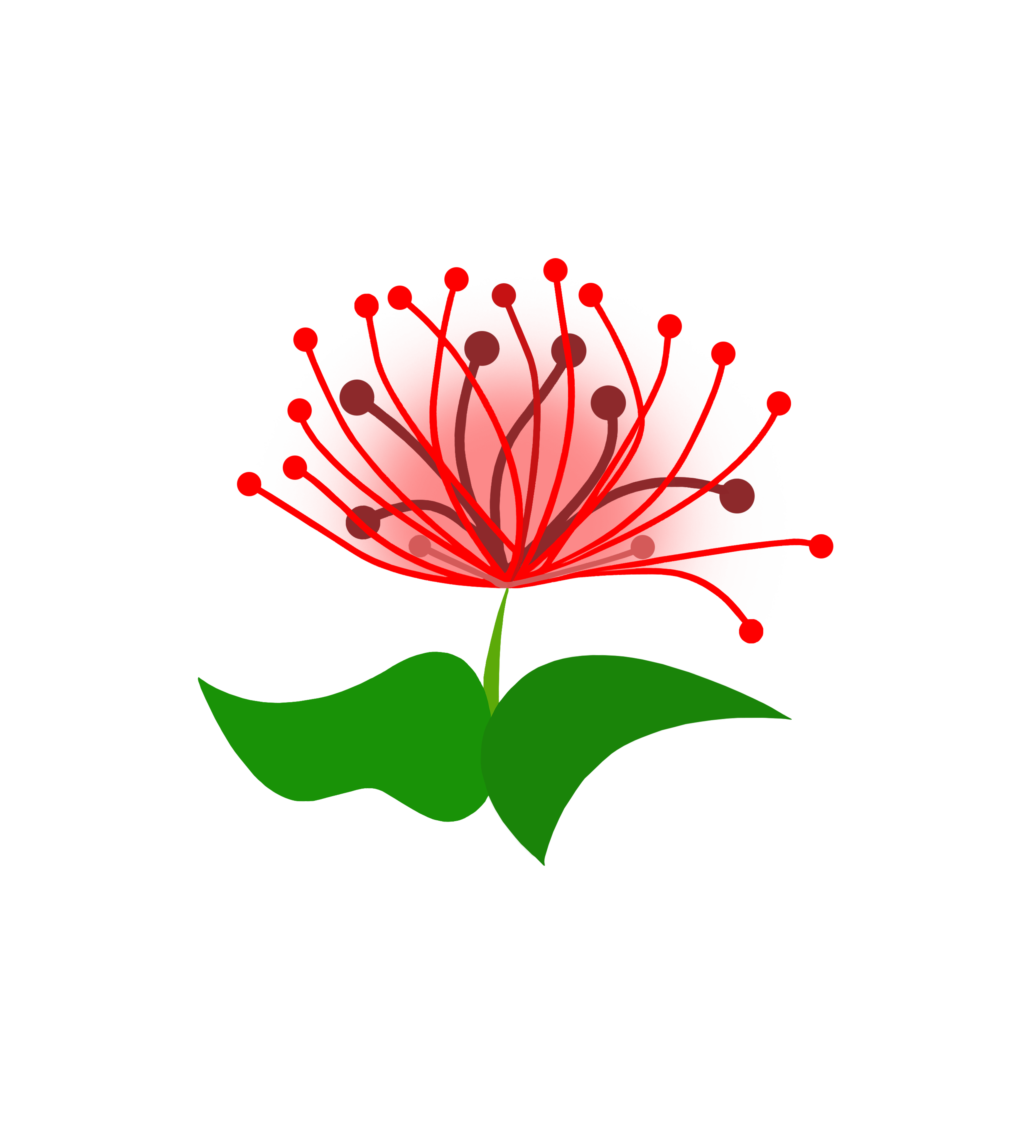 Experience Volcano Hawaii logo