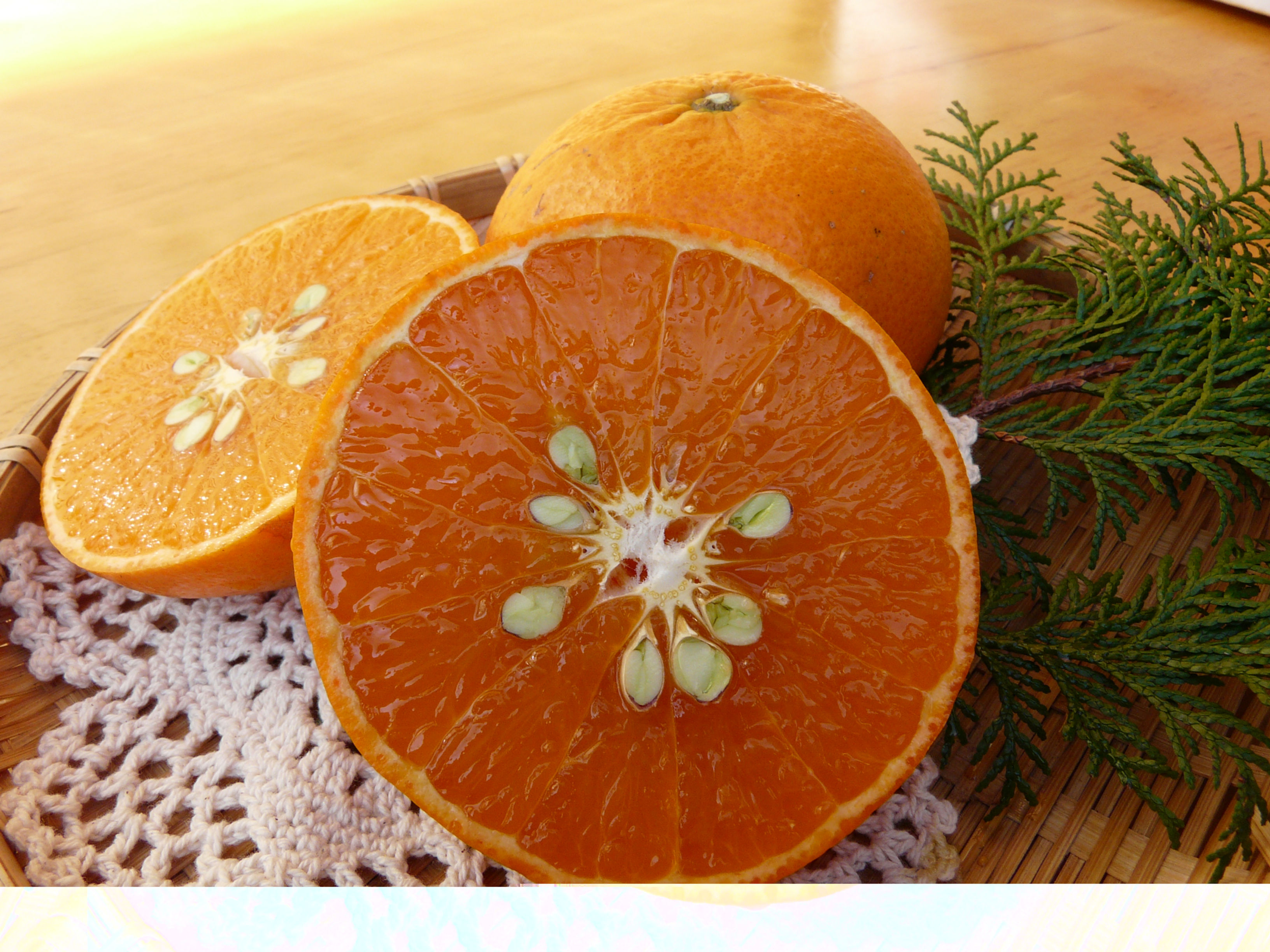 【珍しい柑橘】３キロお徳用  麗紅（れいこう）