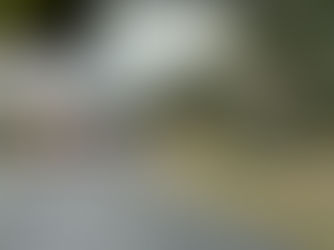 Einsatz Nr. 47 / H2 - Verkehrsunfall