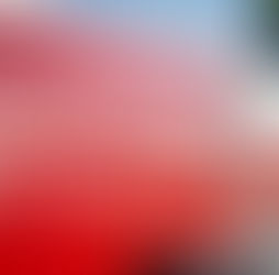 Einsatz Nr. 88 / RHOT - Personensuche