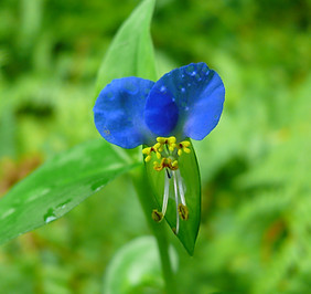 P1050147.JPG